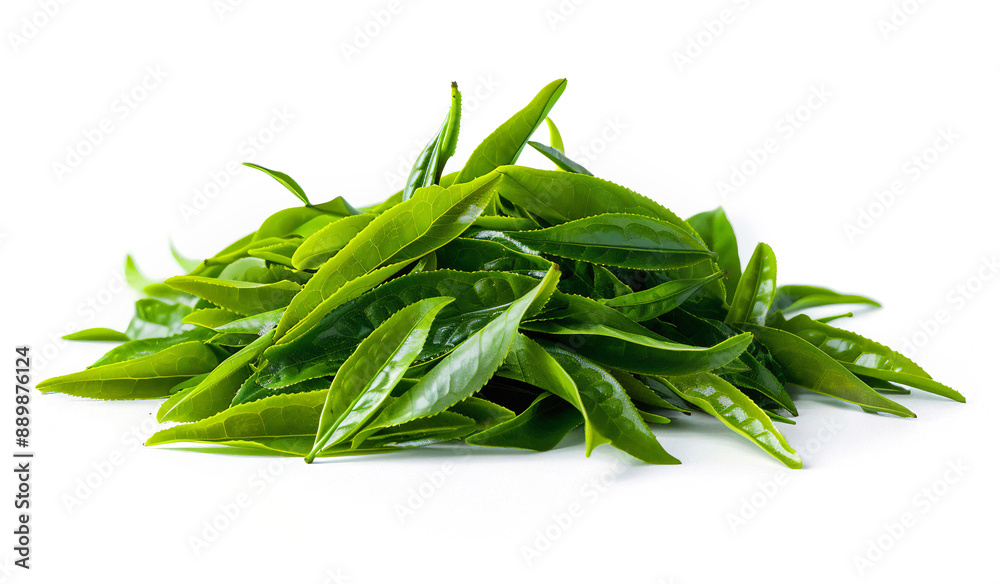 a pile of young green tea leaves a pile of young green tea leaves
