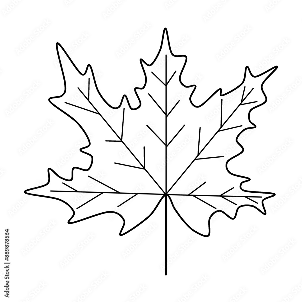 Naklejka premium Maple leaf outline raster drawing