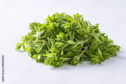 Tableau sur toile Close up of stacked raw stonecrop with green leaf and stem on white floor, South