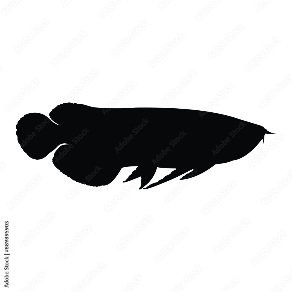Arowana fish silhouette on black and white background Arowana fish silhouette on black and white background