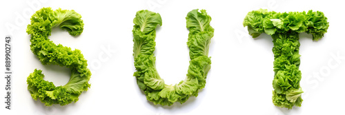 Letters S, T, U. Lettuce Alphabet: Fresh and Leafy Letters. photo