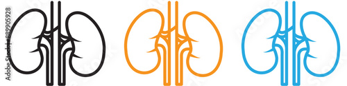 Human kidneys vector logo set collection for web app ui