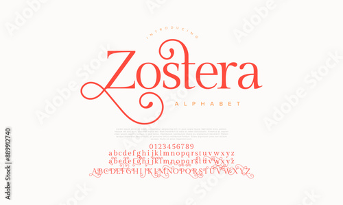 Zostera swash luxury elegant alphabet letters and numbers. Vintage wedding typography classic serif font decorative vintage retro. creative vector illustration