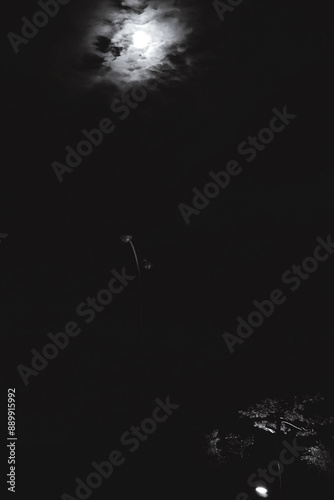 moon and clouds