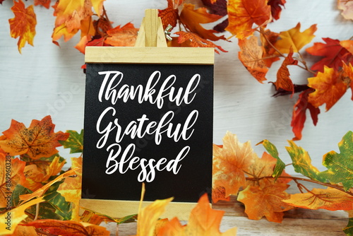 Thankful, grateful and blessed inspirational words  with maple leaf decoration
