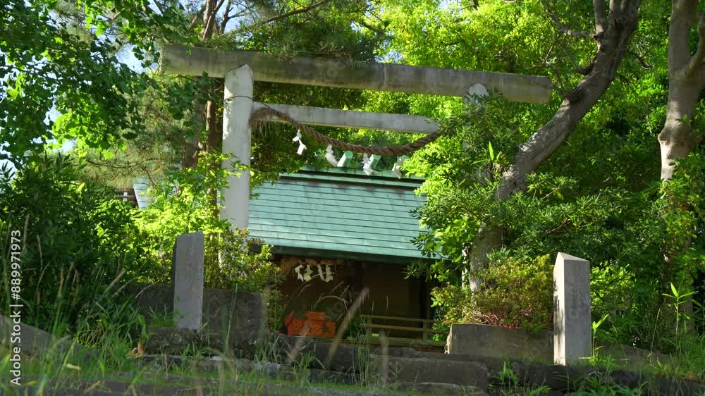 Close up of beautiful stone torii gate inside Japanese forest Close up of beautiful stone torii gate inside Japanese forest