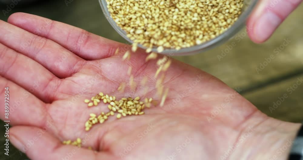 Sesame seeds poured into palm of hand Sesame seeds poured into palm of hand