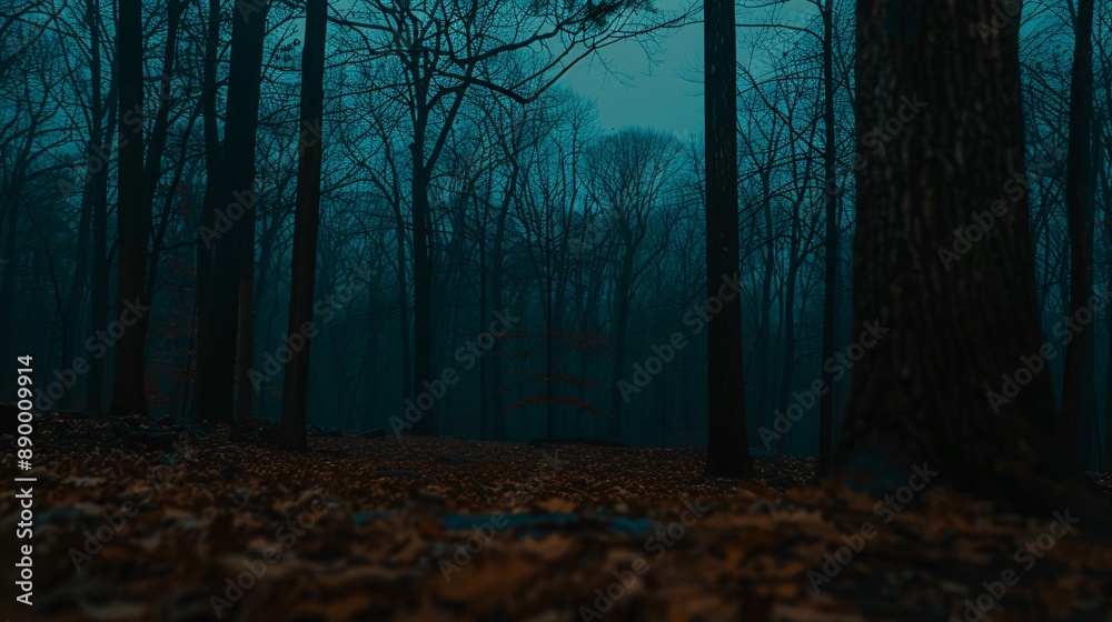 Fototapeta premium Mysterious Forest Path in Blue Hues
