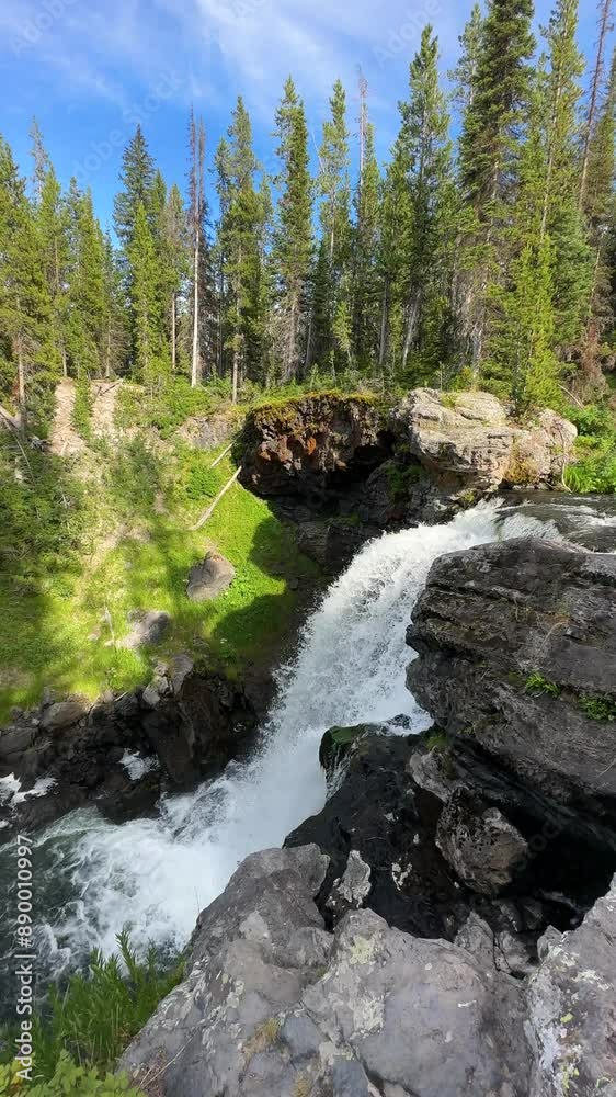 Vertical 4k, Scenic Waterfall and Pine Forest on Sunny Day in Yellowstone National Park, Wyoming USA Vertical 4k, Scenic Waterfall and Pine Forest on Sunny Day in Yellowstone National Park, Wyoming USA