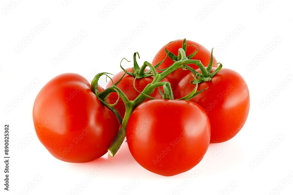 Red, fresh tomatoes on a branch isolated on a white background. Full depth of field. Red, fresh tomatoes on a branch isolated on a white background. Full depth of field.