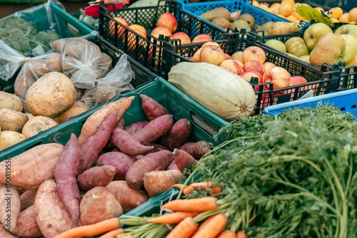 A variety of fresh produce sits in plastic crates at a market.  Sweet potatoes, carrots, squash, apples and rutabagas are all on display. photo