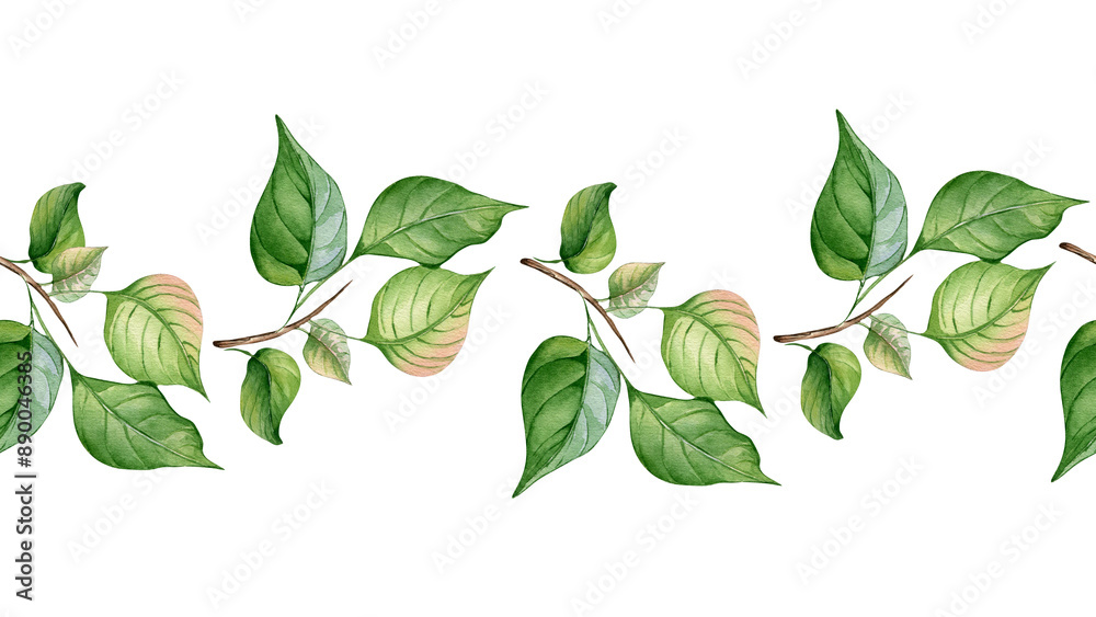 Fototapeta premium Branch of apricot tree with leaves in watercolor on seamless banner isolated. Apple tree branch hand drawn on repeating border. Element for wedding invitation, card, packaging, label product.
