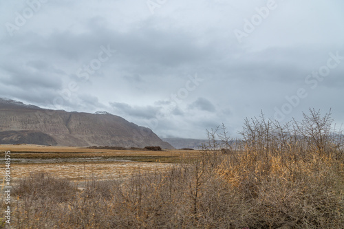 Cold desert landscape from Nubra Valley in Ladakh, India. Sand roads and dry vegetation. Scenic view of Himalayas and Ladakh ranges. Beautiful barren hills in Ladakh with dramatic clouds in background photo