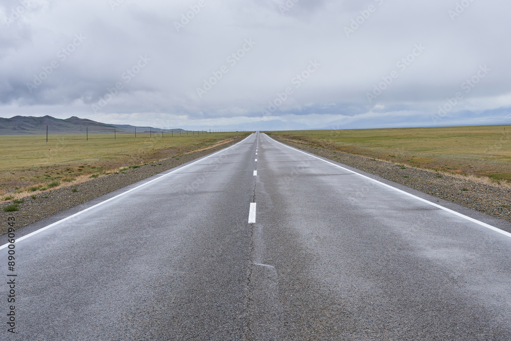 Fototapeta premium Road in the steppes of Mongolia under a cloudy sky.