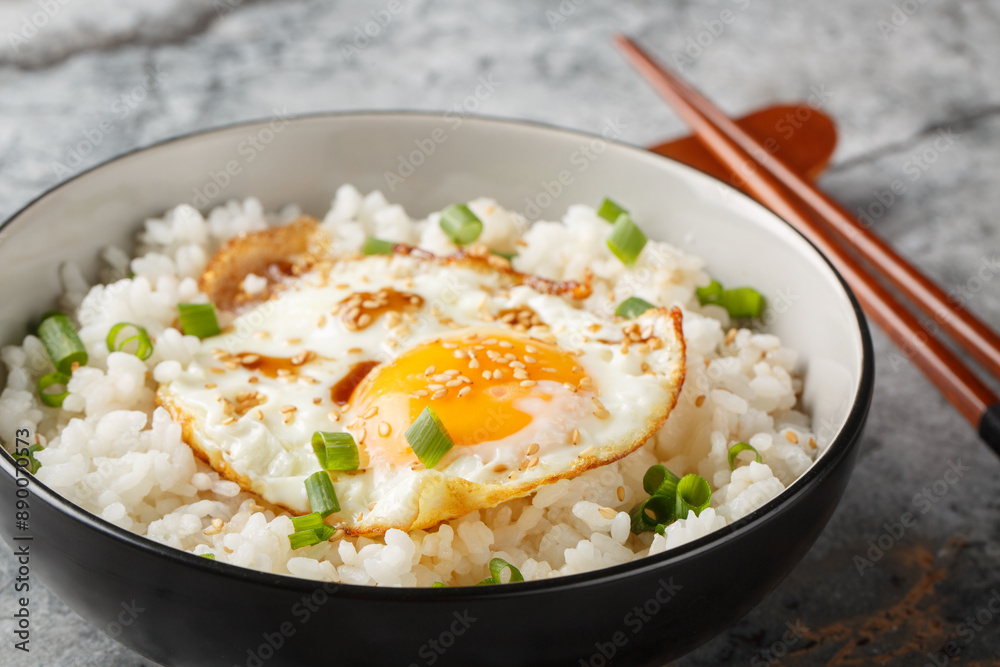 Homemade Asian Fried Egg and Rice Breakfast with Soy Sauce closeup on the bowl on the table. Horizontal Homemade Asian Fried Egg and Rice Breakfast with Soy Sauce closeup on the bowl on the table. Horizontal
