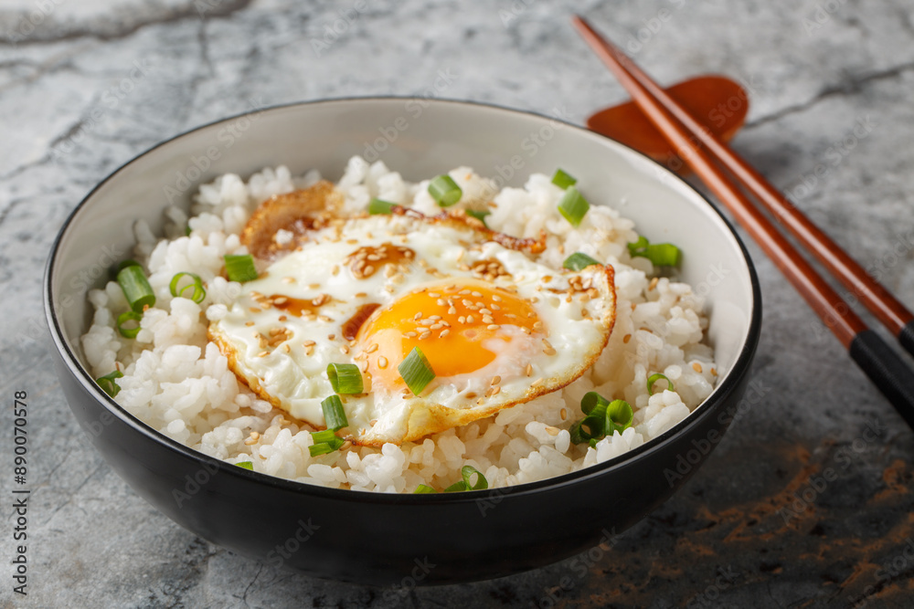 Asian Breakfast Fried Egg and Rice with Soy Sauce, Sesame and Green Onion closeup on the bowl on the table. Horizontal Asian Breakfast Fried Egg and Rice with Soy Sauce, Sesame and Green Onion closeup on the bowl on the table. Horizontal