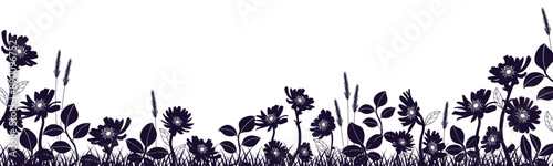 Hand drawn flowers on a white background, floral banner decorated with wild silhouettes of flowers and leaves.