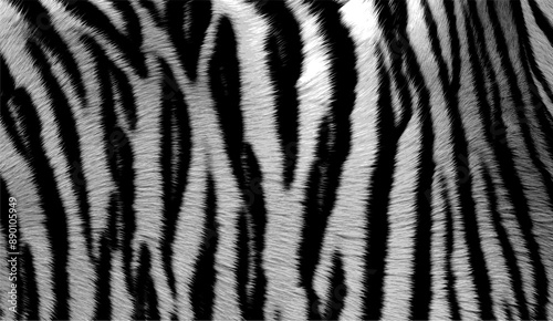 tiger skin pattern - black and white (artwork 1)