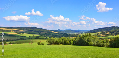 Fototapeta Naklejka Na Ścianę i Meble -  Rural summer landscape in countryside of Low Beskids (Beskid Niski), Poland.
Beautiful summer landscape in the mountains with green meadows and forested hills.