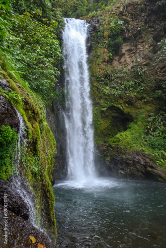 Nature’s Serenade. Costa Rican Reserve’s Waterfall Oasis