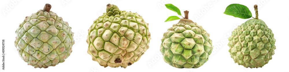 Set of Custard apple isolated on transparent background Set of Custard apple isolated on transparent background
