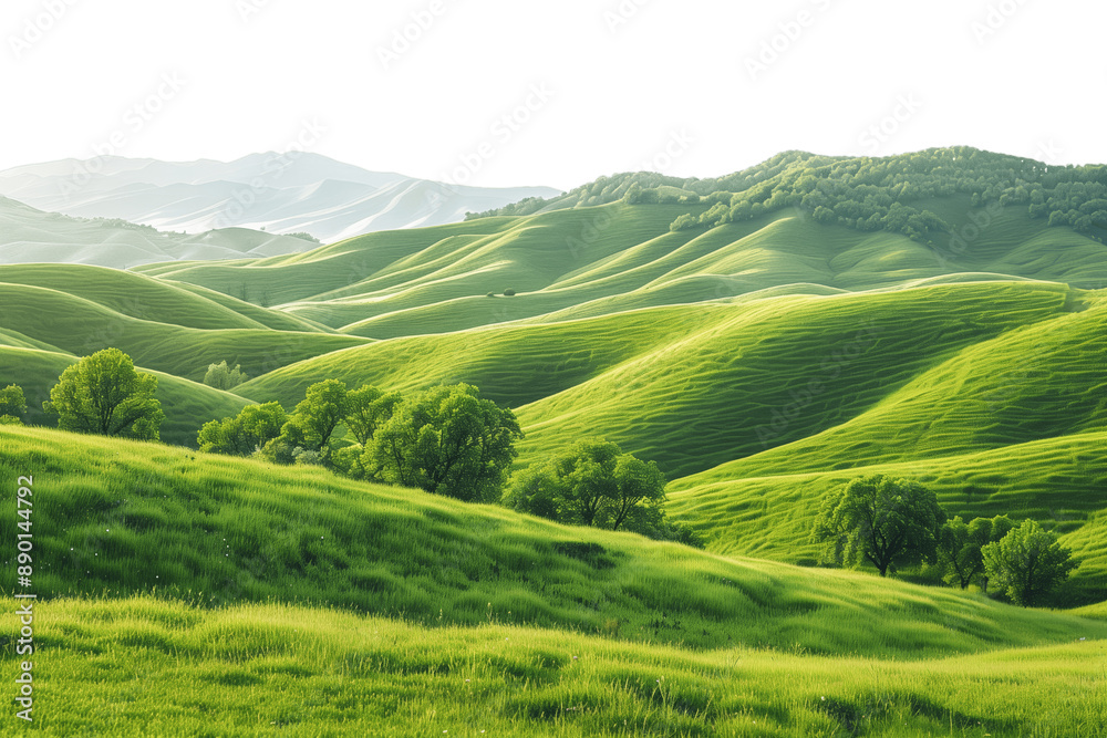 Rolling Green Hills in a Sunny Landscape Rolling Green Hills in a Sunny Landscape