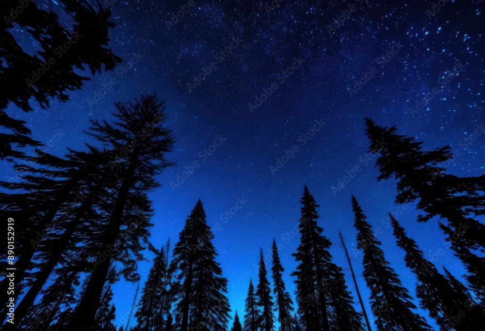 Fototapeta premium enchanting starlit scene ancient forest trees silhouetted night sky, woodland, stars, illuminating, magical, mystical, nature, beauty, serene, peaceful, dark