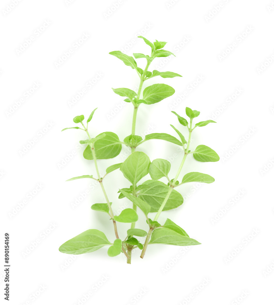 Sprigs of fresh green oregano isolated on white, top view Sprigs of fresh green oregano isolated on white, top view