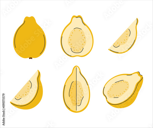 Hand drawn set of yellow guava. Whole guava fruit, half, quarter, piece. Cutted tropical fruits
