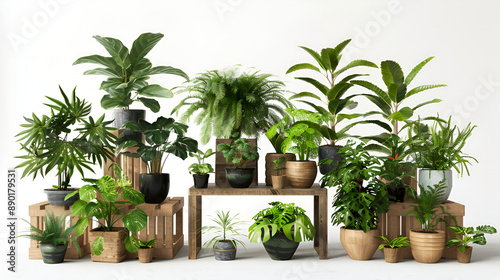 different houseplants. home cozy design, Indoor plants on the table in the room, tropical plants in wicker pots near white divider at family 