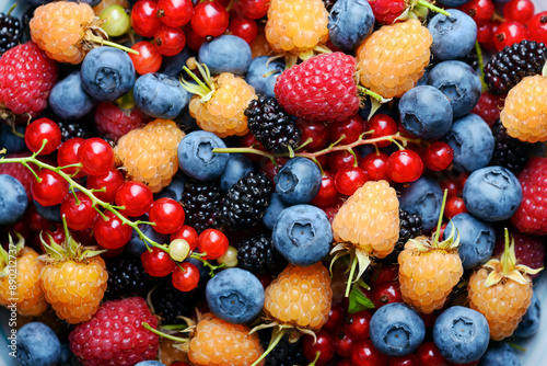 Multicolored mixed berries close up: blueberries, raspberries, redcurrant, blackcurrant and mulberries. Food photography
