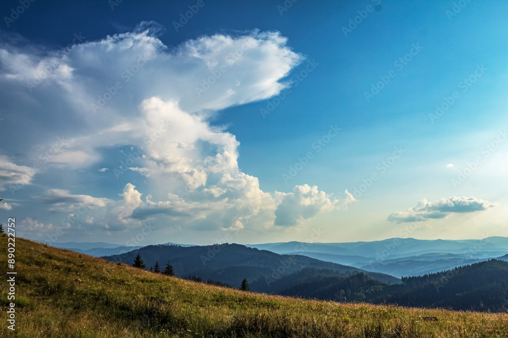 Landscapes - Forest - Europe, Romania, Suceava region Landscapes - Forest - Europe, Romania, Suceava region