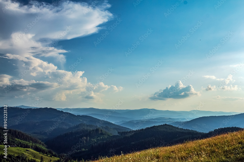 Landscapes - Forest - Europe, Romania, Suceava region Landscapes - Forest - Europe, Romania, Suceava region