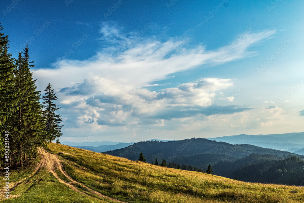 Fototapeta premium Landscapes - Forest - Europe, Romania, Suceava region