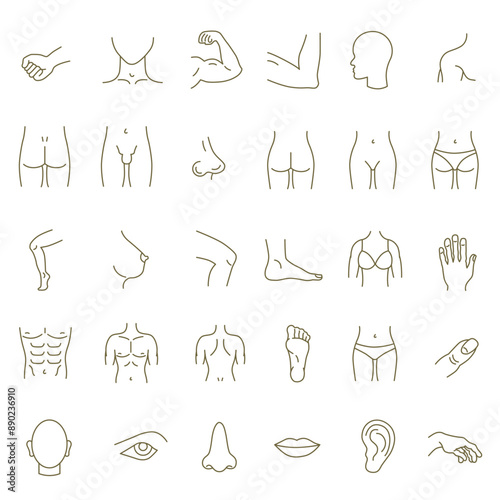 Human body parts icon set. Conventional designations of parts of the human body. Anatomy. Health care.