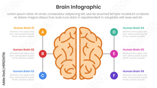 human brain infographic template banner with human brain top view line with circle line straight path with 6 point list information for slide presentation