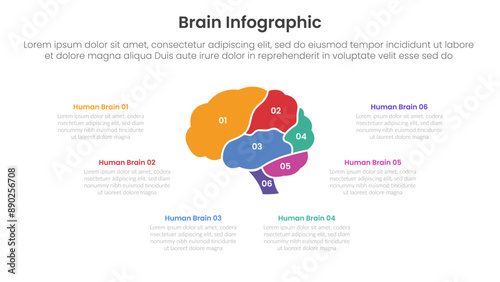 human brain infographic template banner with human brain side view slice parts with 6 point list information for slide presentation