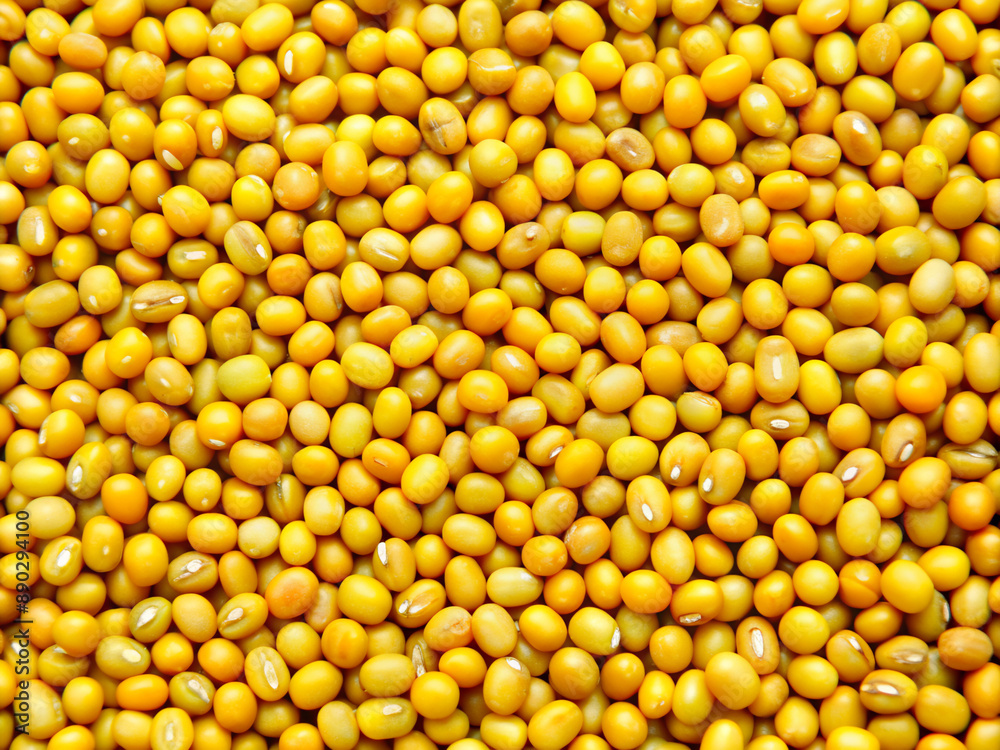 yellow background, healthy, vegetable, grain, corn, agriculture, mung, yellow, texture, ingredient, dry, raw, beans, legume yellow background, healthy, vegetable, grain, corn, agriculture, mung, yellow, texture, ingredient, dry, raw, beans, legume