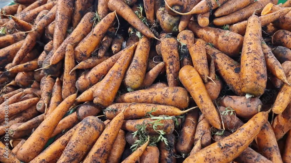 Selling carrots in a store, supermarket or indoor market. Carrot close-up Selling carrots in a store, supermarket or indoor market. Carrot close-up