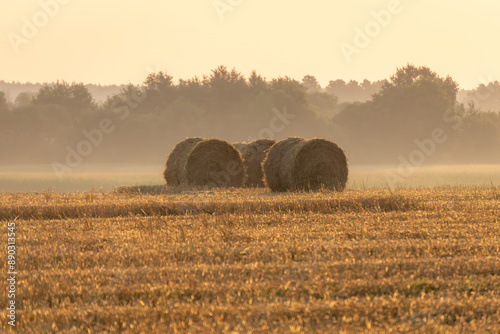 fresh bales of straw lying in a pile in the field after harvest. rural landscape in summer, idyllic countryside landscape at sunrise in the golden hour photo