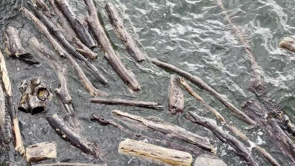 tronchi di legno in movimento nell'acqua, wooden logs moving in the water tronchi di legno in movimento nell'acqua, wooden logs moving in the water