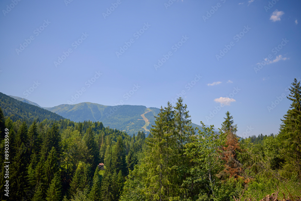 landscape with the rural area in the mountains of Maramures in Romania.