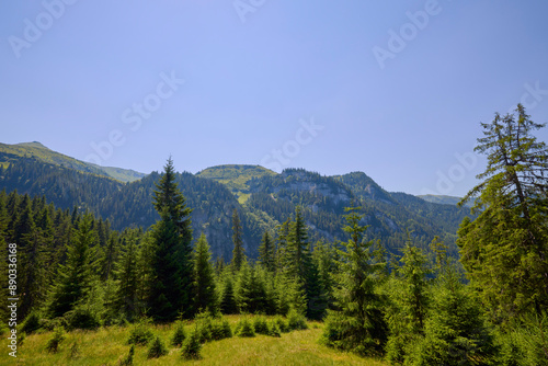 landscape with the rural area in the mountains of Maramures in Romania.