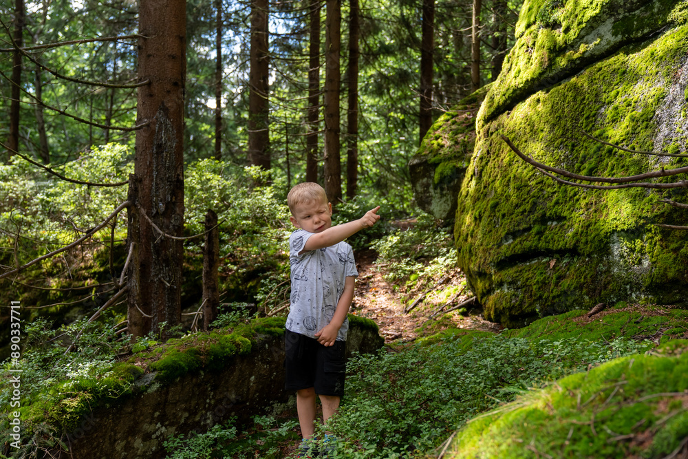 Young boy exploring dense forest and pointing at large moss-covered rock on a sunny day. Concept of childhood adventure, nature discovery, and outdoor education. High quality photo Young boy exploring dense forest and pointing at large moss-covered rock on a sunny day. Concept of childhood adventure, nature discovery, and outdoor education. High quality photo