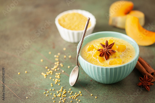 Homemage organic  pumpkin and millet porridge with cinnamon in bowl. Healthy breakfast photo