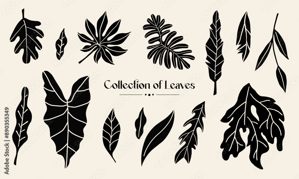 Collection of flowers and leaves Collection of flowers and leaves