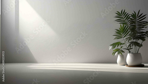 A lone plant in a vase rests on a textured gray concrete floor in an empty, light-filled room with a grunge vibe