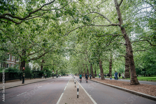 Fototapeta Naklejka Na Ścianę i Meble -  Tree-Lined Avenue with Cyclists in London