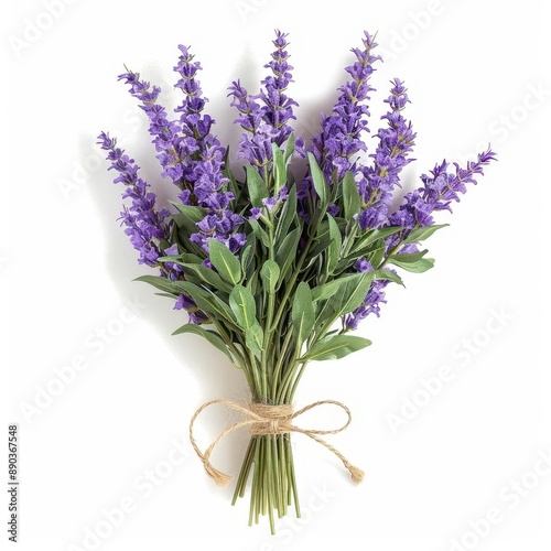 fragrant bouquet of lavender sprigs tied with rustic twine showcasing the vibrant purple flowers against a crisp white backdrop