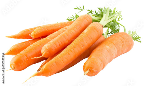 Fresh carrots isolated on white background Fresh Vegetable Concept
